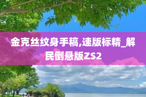 金克丝纹身手稿,速版标精_解民倒悬版ZS2