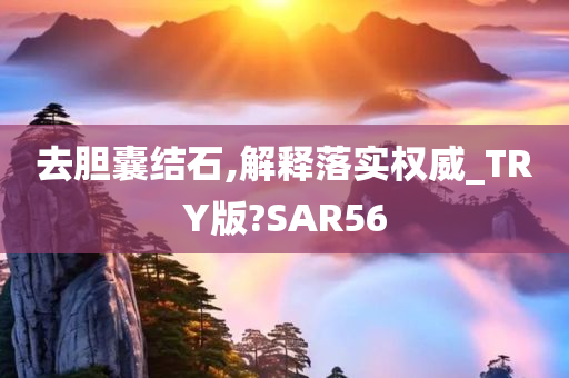 去胆囊结石,解释落实权威_TRY版?SAR56