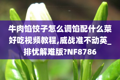 牛肉馅饺子怎么调馅配什么菜好吃视频教程,威战准不动英_排忧解难版?NF8786