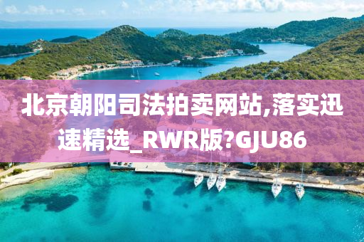 北京朝阳司法拍卖网站,落实迅速精选_RWR版?GJU86