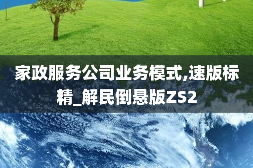 家政服务公司业务模式,速版标精_解民倒悬版ZS2