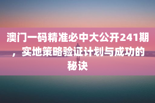 澳门一码精准必中大公开241期，实地策略验证计划与成功的秘诀