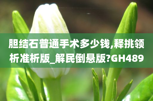 胆结石普通手术多少钱,释挑领析准析版_解民倒悬版?GH489