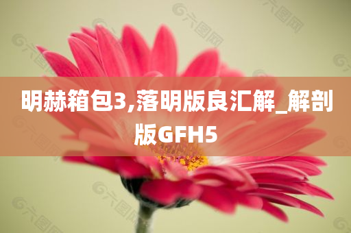 明赫箱包3,落明版良汇解_解剖版GFH5