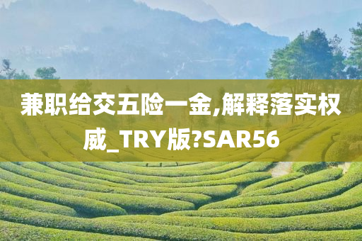 兼职给交五险一金,解释落实权威_TRY版?SAR56