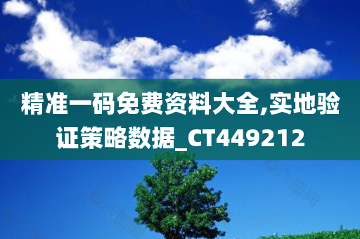 精准一码免费资料大全,实地验证策略数据_CT449212