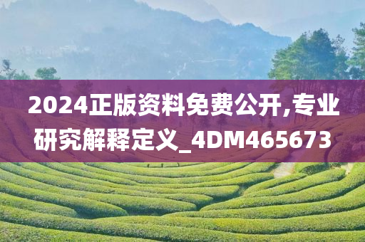 2024正版资料免费公开,专业研究解释定义_4DM465673