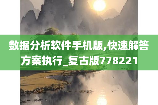 数据分析软件手机版,快速解答方案执行_复古版778221