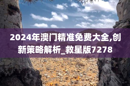 2024年澳门精准免费大全,创新策略解析_救星版7278