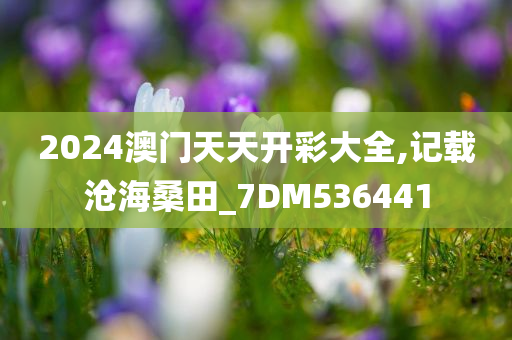 2024澳门天天开彩大全,记载沧海桑田_7DM536441