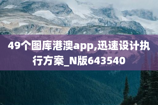 49个图库港澳app,迅速设计执行方案_N版643540