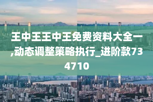 王中王王中王免费资料大全一,动态调整策略执行_进阶款734710