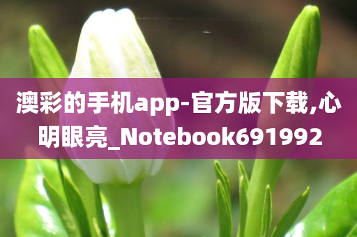 澳彩的手机app-官方版下载,心明眼亮_Notebook691992