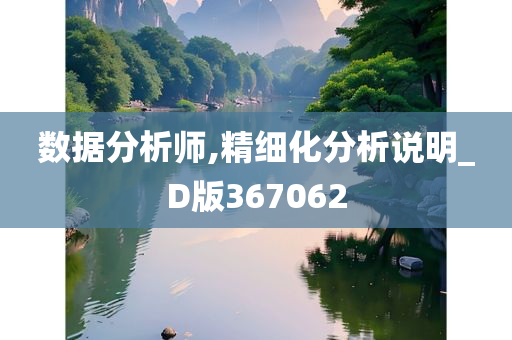 数据分析师,精细化分析说明_D版367062