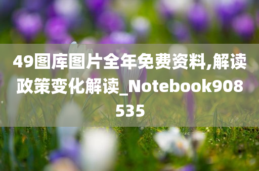 49图库图片全年免费资料,解读政策变化解读_Notebook908535