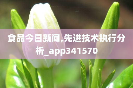 食品今日新闻,先进技术执行分析_app341570