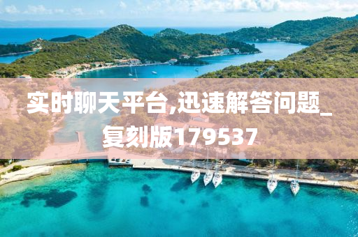 实时聊天平台,迅速解答问题_复刻版179537