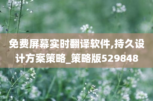 免费屏幕实时翻译软件,持久设计方案策略_策略版529848