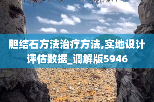 胆结石方法治疗方法,实地设计评估数据_调解版5946