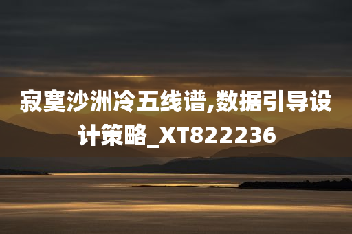 寂寞沙洲冷五线谱,数据引导设计策略_XT822236