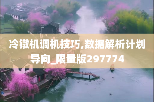 冷镦机调机技巧,数据解析计划导向_限量版297774