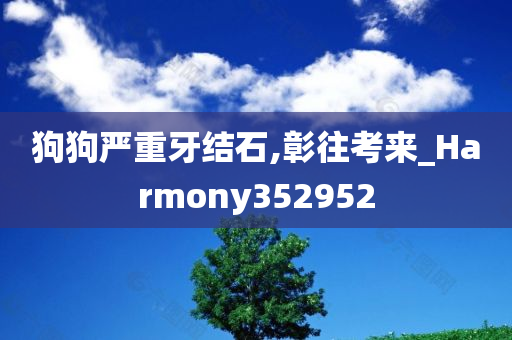 狗狗严重牙结石,彰往考来_Harmony352952