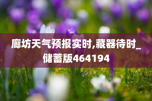 廊坊天气预报实时,藏器待时_储蓄版464194