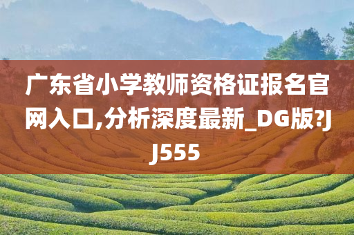 广东省小学教师资格证报名官网入口,分析深度最新_DG版?JJ555