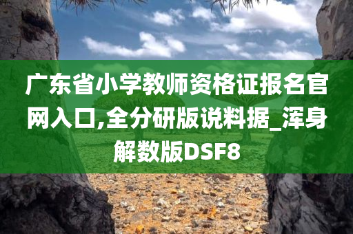 广东省小学教师资格证报名官网入口,全分研版说料据_浑身解数版DSF8