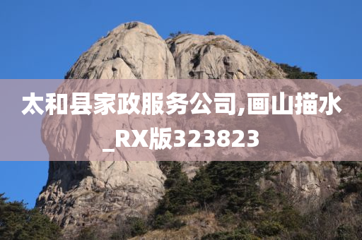 太和县家政服务公司,画山描水_RX版323823