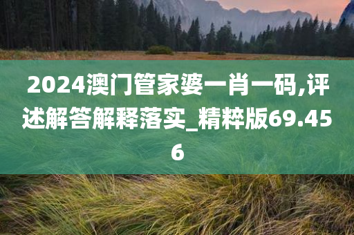 2024澳门管家婆一肖一码,评述解答解释落实_精粹版69.456