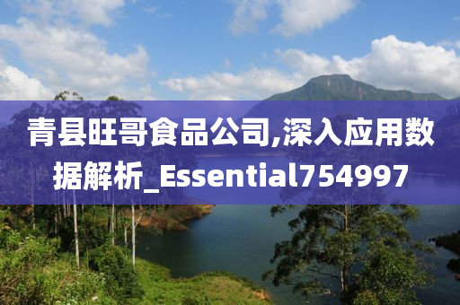 青县旺哥食品公司,深入应用数据解析_Essential754997