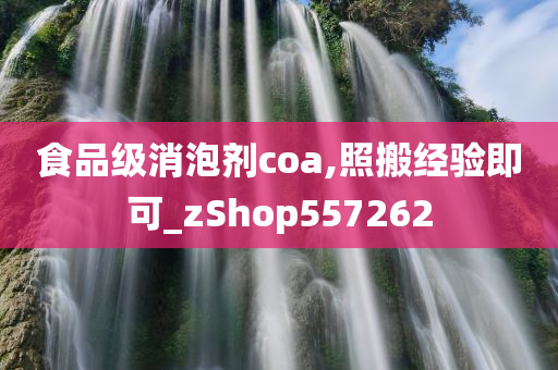 食品级消泡剂coa,照搬经验即可_zShop557262