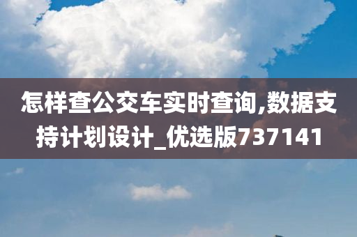 怎样查公交车实时查询,数据支持计划设计_优选版737141