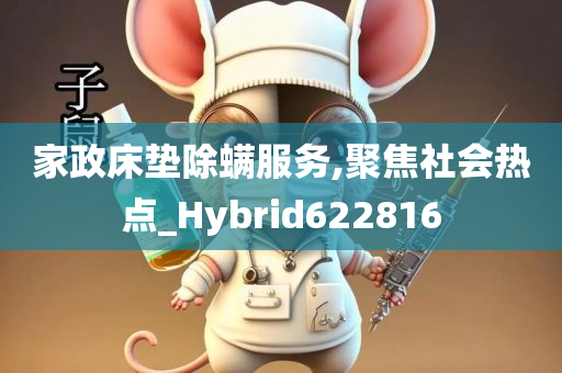 家政床垫除螨服务,聚焦社会热点_Hybrid622816