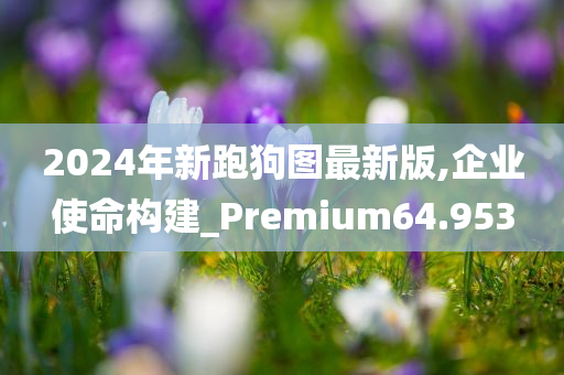 2024年新跑狗图最新版,企业使命构建_Premium64.953