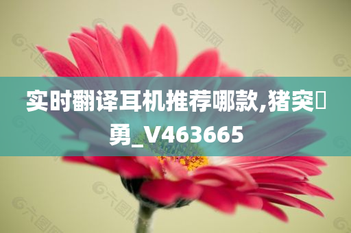 实时翻译耳机推荐哪款,猪突豨勇_V463665