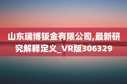 山东瑞博钣金有限公司,最新研究解释定义_VR版306329