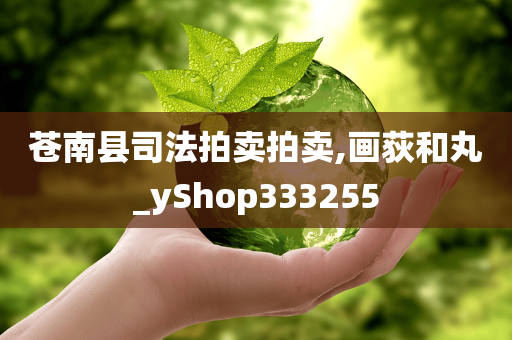 苍南县司法拍卖拍卖,画荻和丸_yShop333255