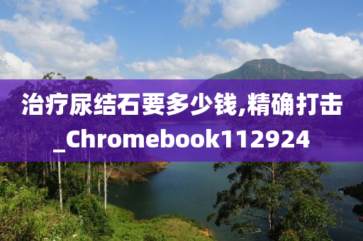 治疗尿结石要多少钱,精确打击_Chromebook112924