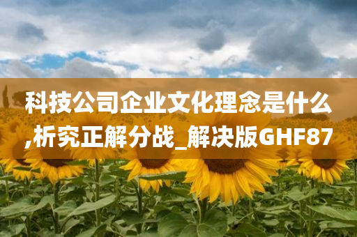 科技公司企业文化理念是什么,析究正解分战_解决版GHF87