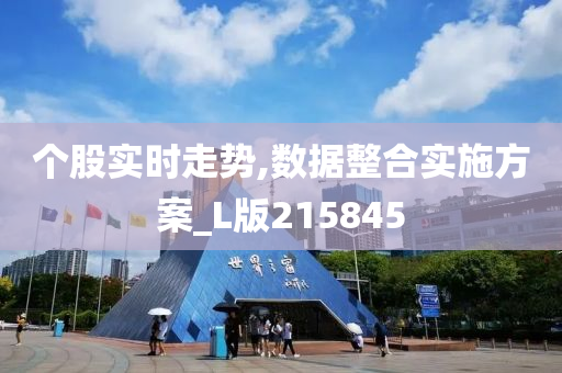 个股实时走势,数据整合实施方案_L版215845