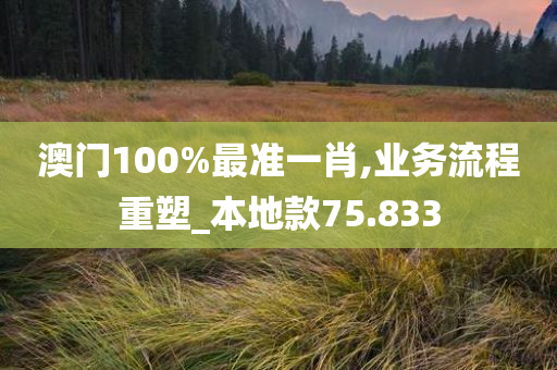 澳门100%最准一肖,业务流程重塑_本地款75.833