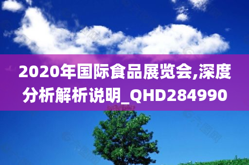 2020年国际食品展览会,深度分析解析说明_QHD284990