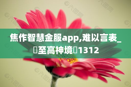 焦作智慧金服app,难以言表_‌至高神境‌1312