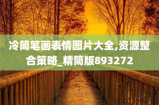 冷简笔画表情图片大全,资源整合策略_精简版893272