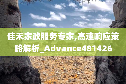 佳禾家政服务专家,高速响应策略解析_Advance481426