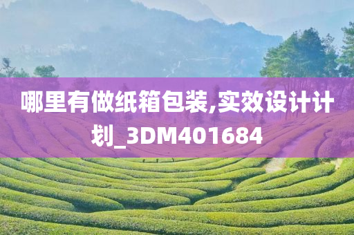 哪里有做纸箱包装,实效设计计划_3DM401684