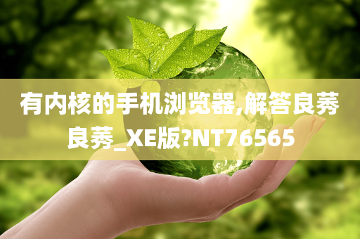 有内核的手机浏览器,解答良莠良莠_XE版?NT76565