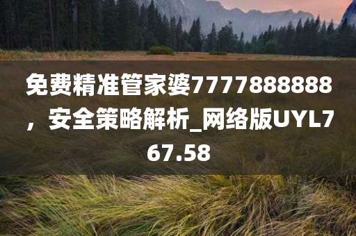 免费精准管家婆7777888888，安全策略解析_网络版UYL767.58